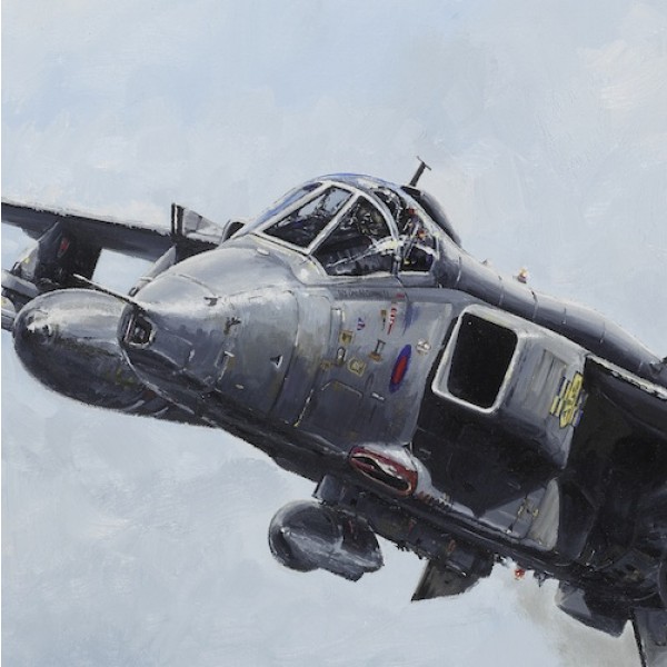 squadron-farewell-detail10 - Jet Art Gallery