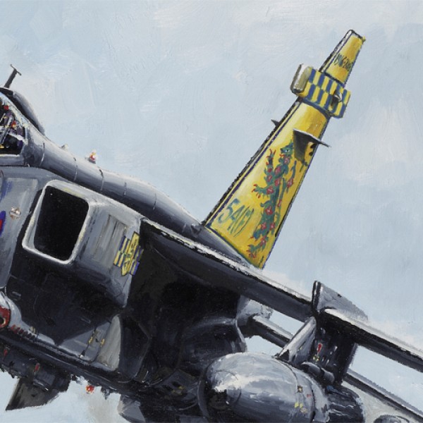 squadron-farewell-detail3 - Jet Art Gallery