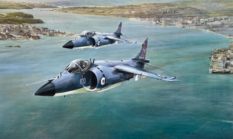 Sea Harriers by Robert Taylor